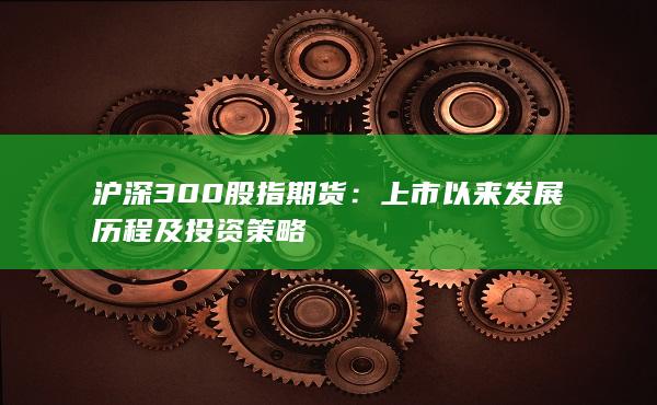 上市以來發展歷程及投資策略